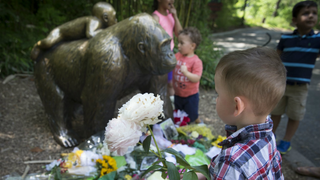 Outraged Gorilla-Lovers Are Threatening the Wrong Michelle Gregg on Facebook